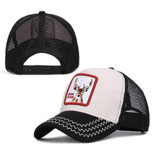 Load image into Gallery viewer, Baseball Cap Spring Summer